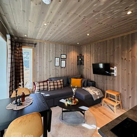 Modern Apartment With Ski Inout In Hafjell Hafjell
