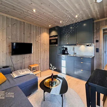 شقة Modern With Ski Inout In